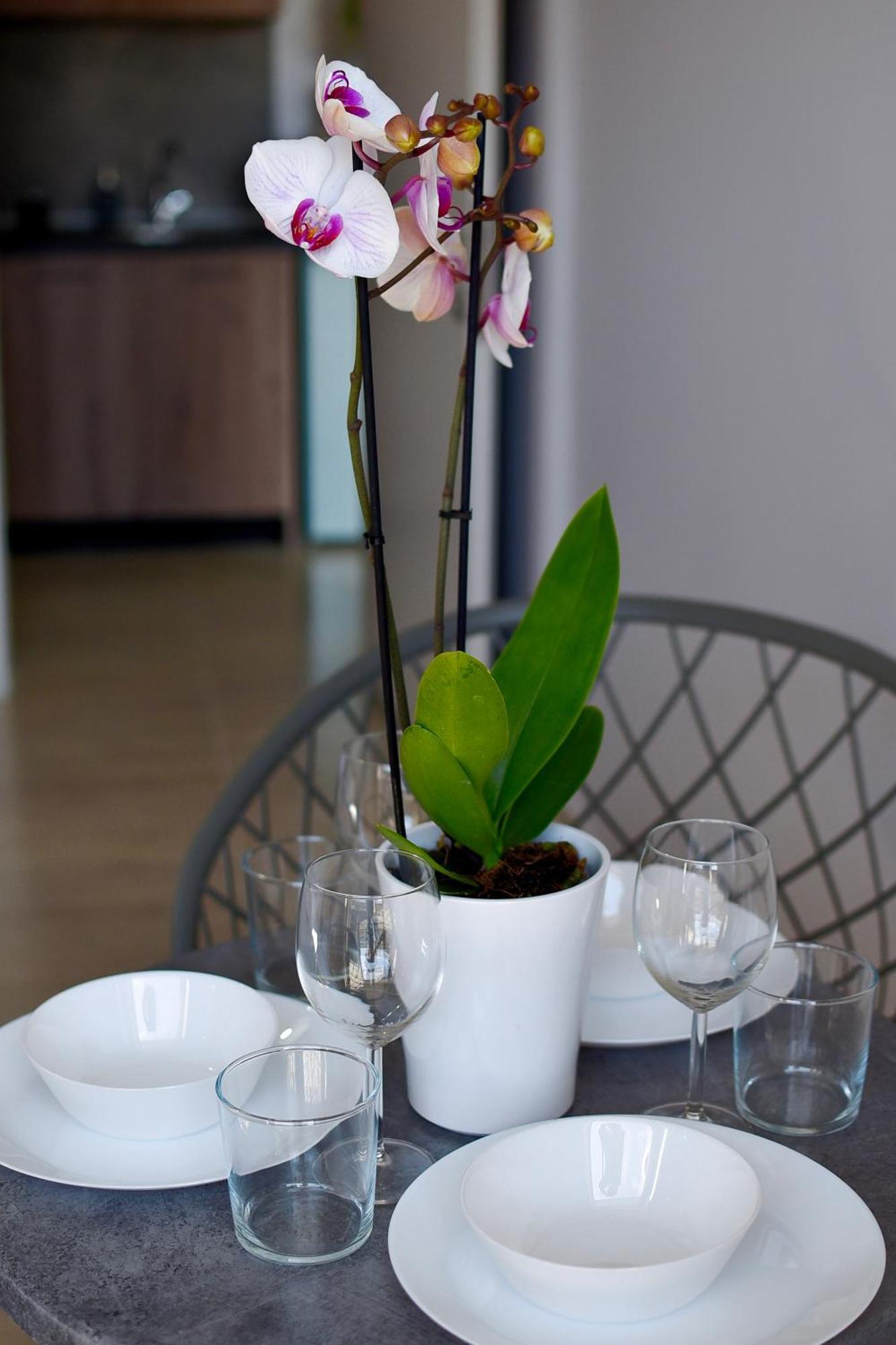 Nea Kallikrateia Room Nine 9 Beachfront Apartments מראה חיצוני תמונה